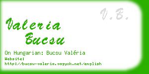 valeria bucsu business card
